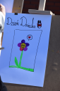 083_DSC.png